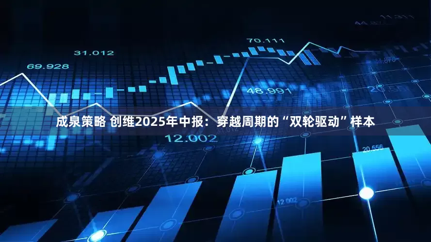 成泉策略 创维2025年中报：穿越周期的“双轮驱动”样本