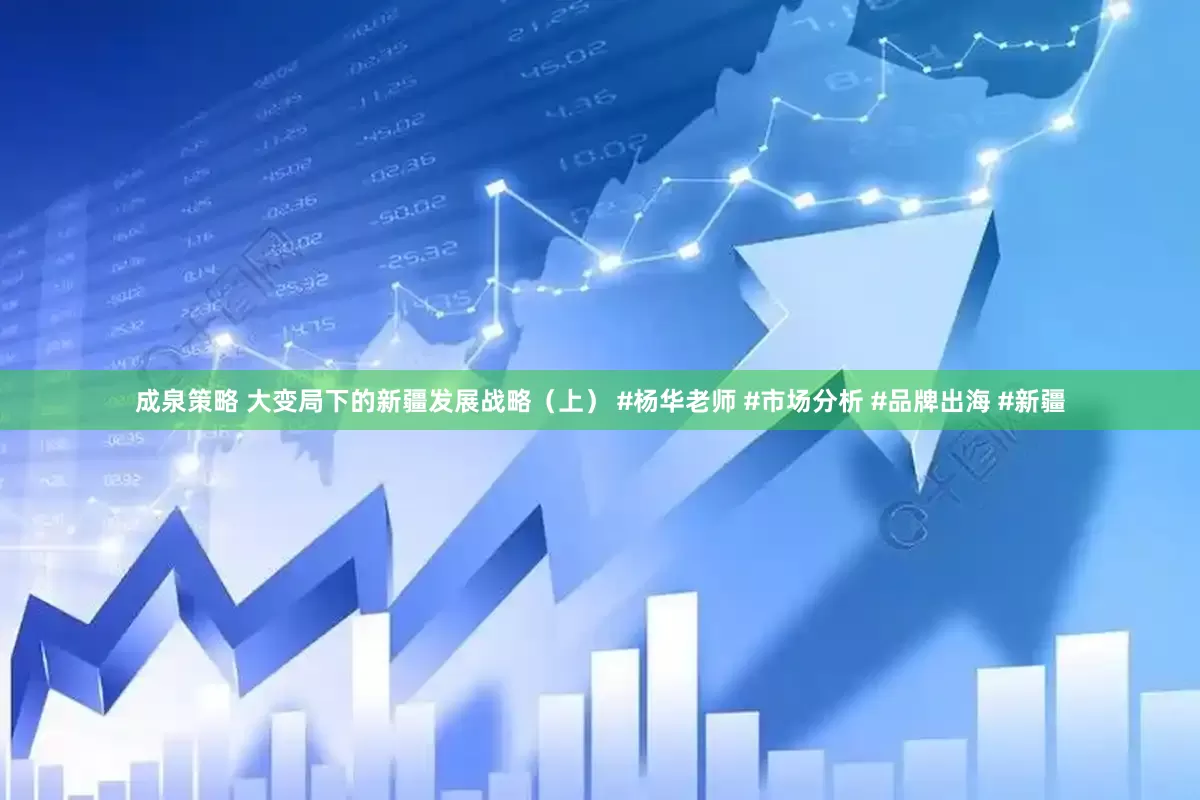 成泉策略 大变局下的新疆发展战略（上） #杨华老师 #市场分析 #品牌出海 #新疆